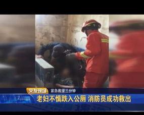 xX国产老妇视频无毒,重温无毒岁月的温馨回忆