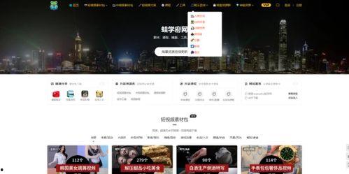 国产性聚会视频素材网站