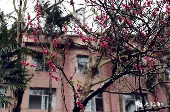 国产校花流出视频,国产校花视频惊艳亮相