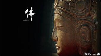 国产纯佛进食视频,探寻传统饮食习惯的韵味与魅力