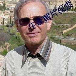 午夜国产毛片免费视频,暗流涌动的网络迷雾