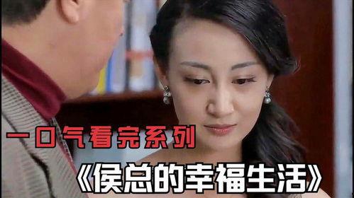 国产内地电视剧解说视频