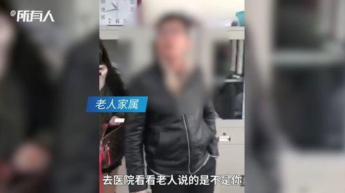 国产成人男同志视频网站,多元文化下的情感共鸣与自我认同
