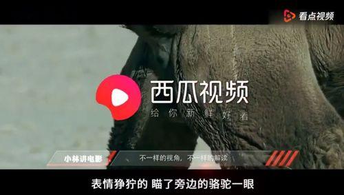 草在线国产视频观看视频,带你领略国产影视的魅力